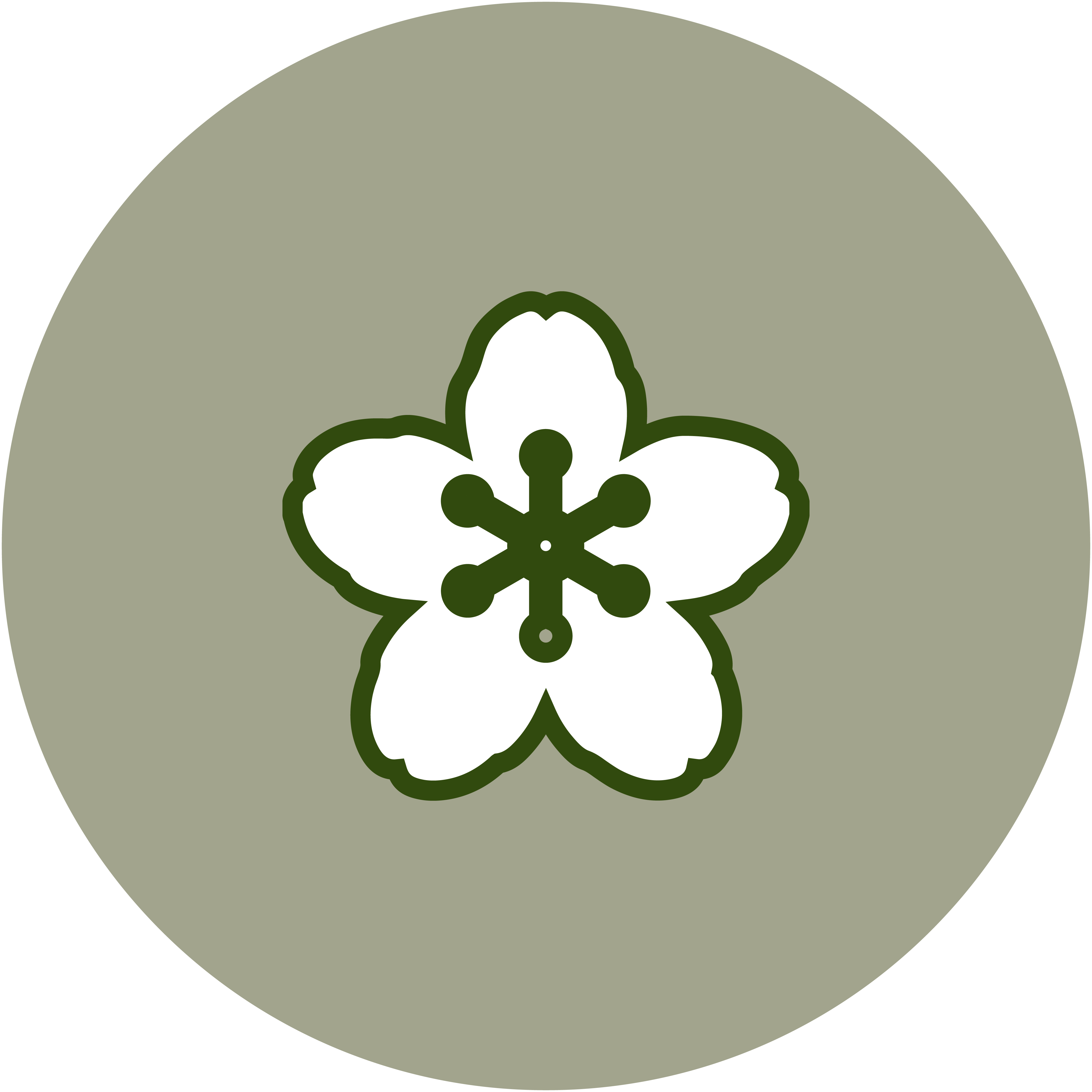 Cherry Blossom